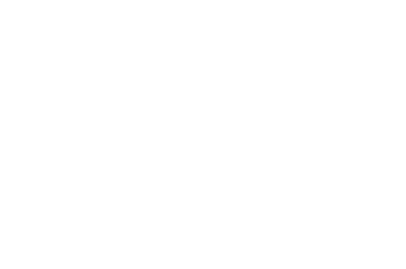 Electrical System